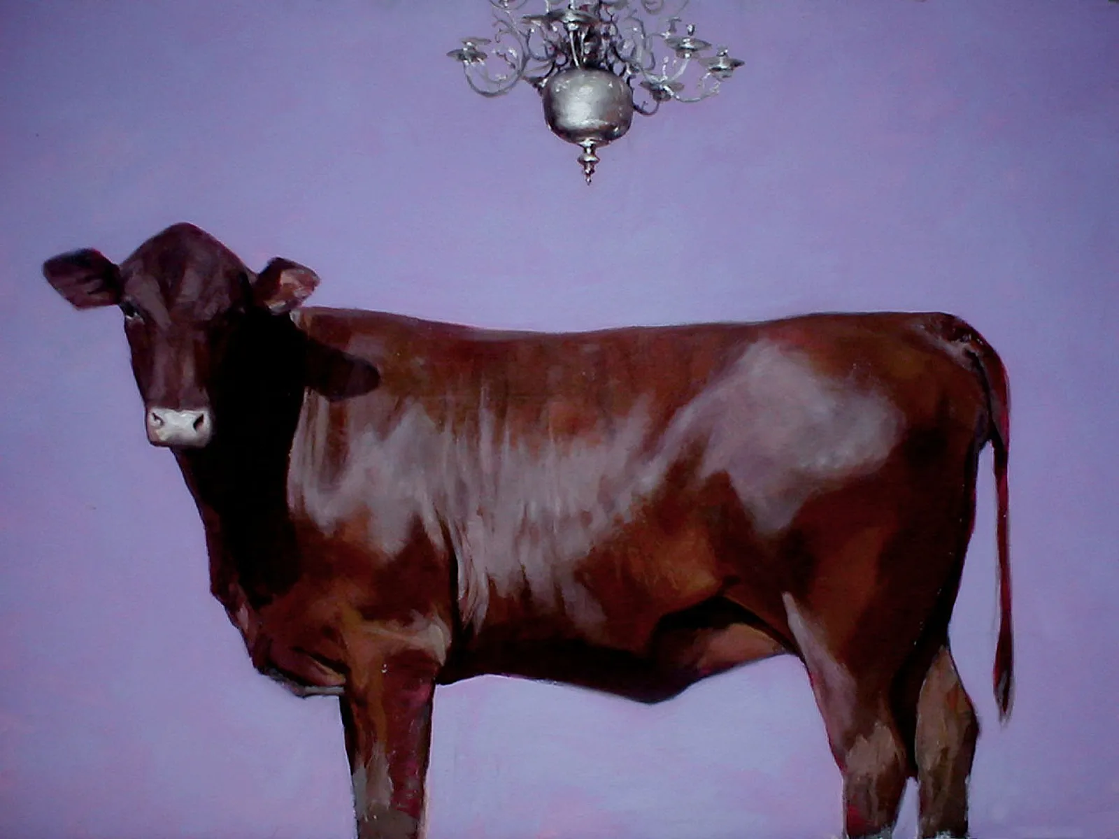 Purple Cow
