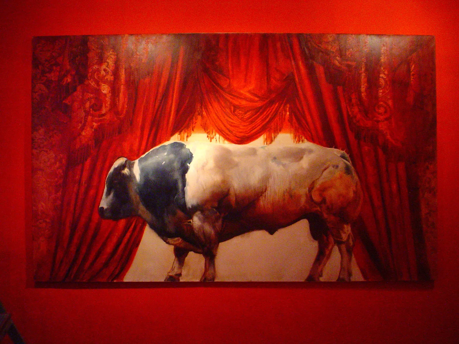 Taur cu cortina rosie